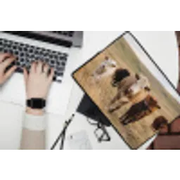Runderen - Kudde - Landschap - Weide - Rustig laptophoes neopreen klein -bureau