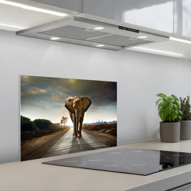 Olifant - Weg - Dieren - Zonsondergang - Landschap keuken achterwand spatscherm klein -3d_schuin