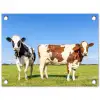 Koeien in de Weide tuinposter los doek klein -3d