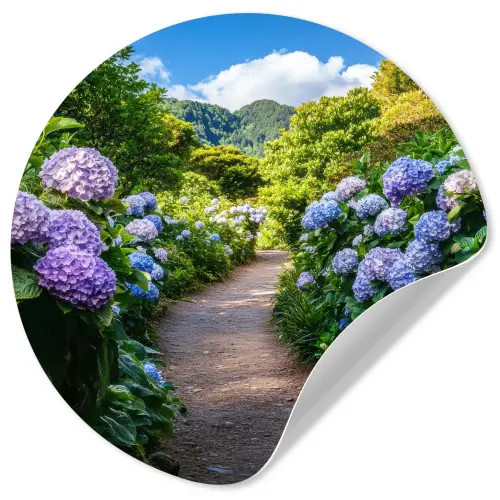 Hortsensia - Pad - Bloemen Wandcirkel behangsticker klein -3d