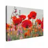 Bloeipracht van Klaprozen Tuinposter op houten frame 2 cm dik klein -3d