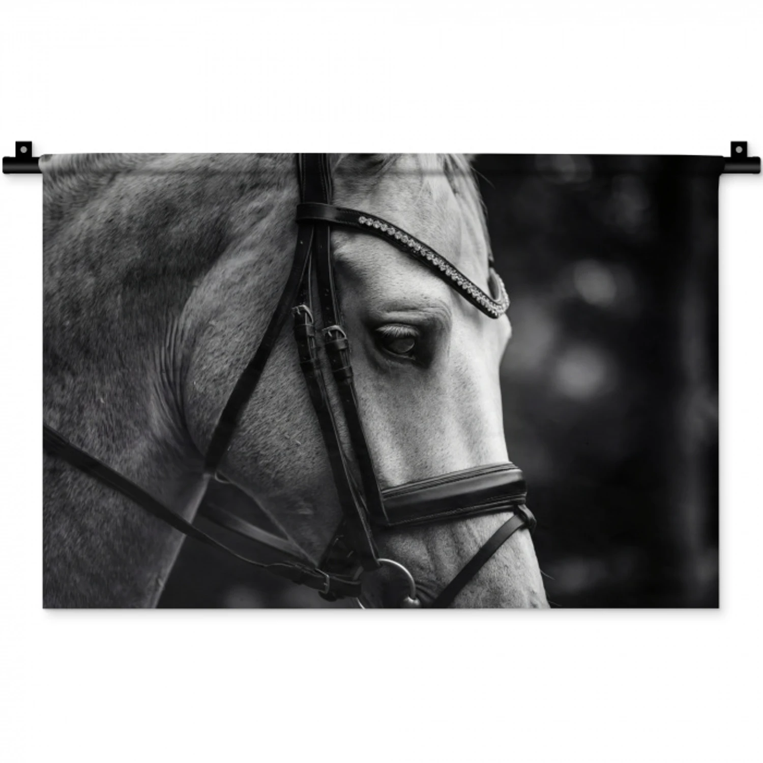 Paard - Schimmel - Portret Wandkleed katoen klein -zz3d