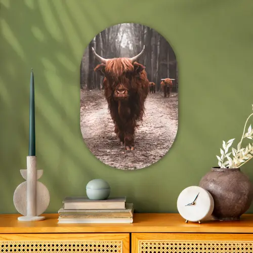 Schotse hooglander - Bos - Koe - Dieren - Natuur Wandcirkel Ovaal Forex klein -sfeer2