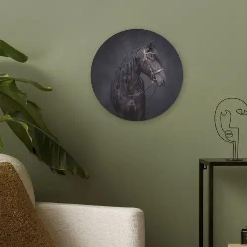 Portret - Paard - Donker Akoestische PET Vilt - Rond klein -sfeer2