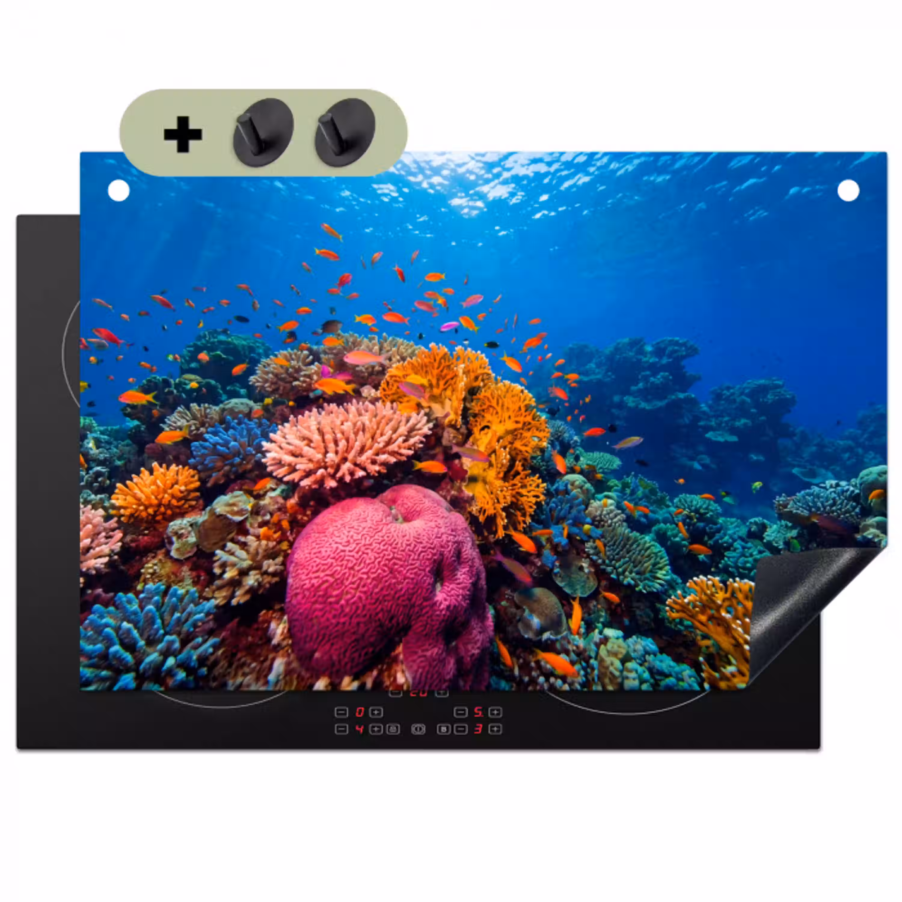 Koraal - Vissen - Oceaan - Natuur - Kleurrijk Inductie beschemer met haakjes klein -3d