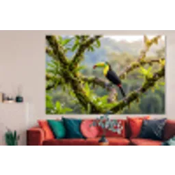 Toekan - Jungle - Natuur - Kleurrijk forex 5mm xxl -woonkamer