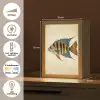 Vis - Tropisch - Strepen - Vinnen Light Box met kabel (Tafellamp) klein -USP_NL