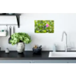 Kolibrie - Bloem - Natuur - Groen Muursticker klein -keuken