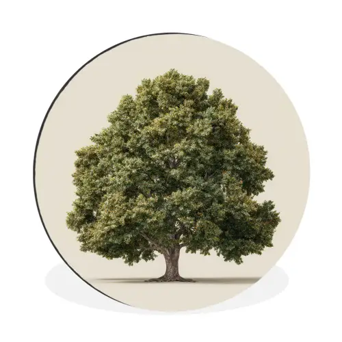 Eikenboom - Groen - Lichte achtergrond Wandcirkel aluminium klein -3d