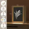 Maïskolf - Glanzend metaal - Elegant Light Box met kabel (Tafellamp) klein -USP_NL