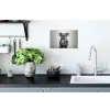 Koala - Bril - Toilet Muursticker klein -keuken
