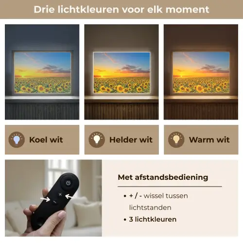 Bloemen - Zonnebloem - Zonsondergang - Nacht - Oranje Light Box met batterij (Wandlamp) middel -USP_lichtkleurNL