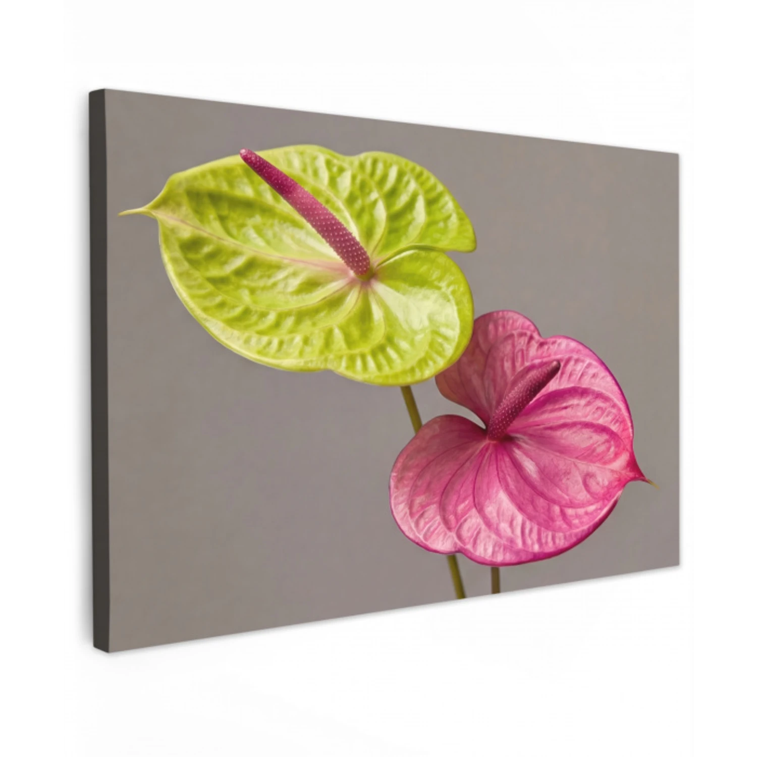 Planten - Anthurium - Groen - Roze Tuinposter op houten frame 2 cm dik klein -3d
