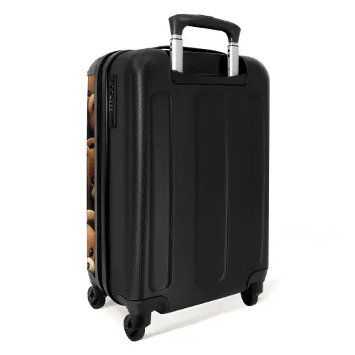 Beregezellig Koffer - NBS - Handbagage middel -achterkant