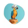Papegaai - Koksmuts - Grappig - Vogel Wandcirkel Organisch Plexiglas middel -3d