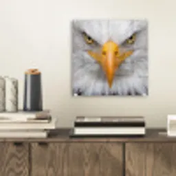 Amerikaans - Zeearend - Portret - Geel plexiglas 5mm klein -sfeer1