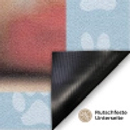 Pfötchen – Hintergrund Deurmat klein -antislip_DE