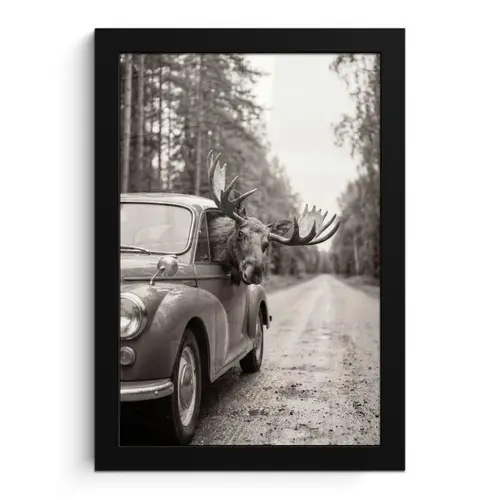 Eland - Auto - Gewei - Zwart - Wit fotolijst zwart zonder passe partout klein -3d