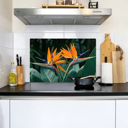 Paradijsvogel - Bloem - Exotisch Inductie beschemer met haakjes klein -sfeer2