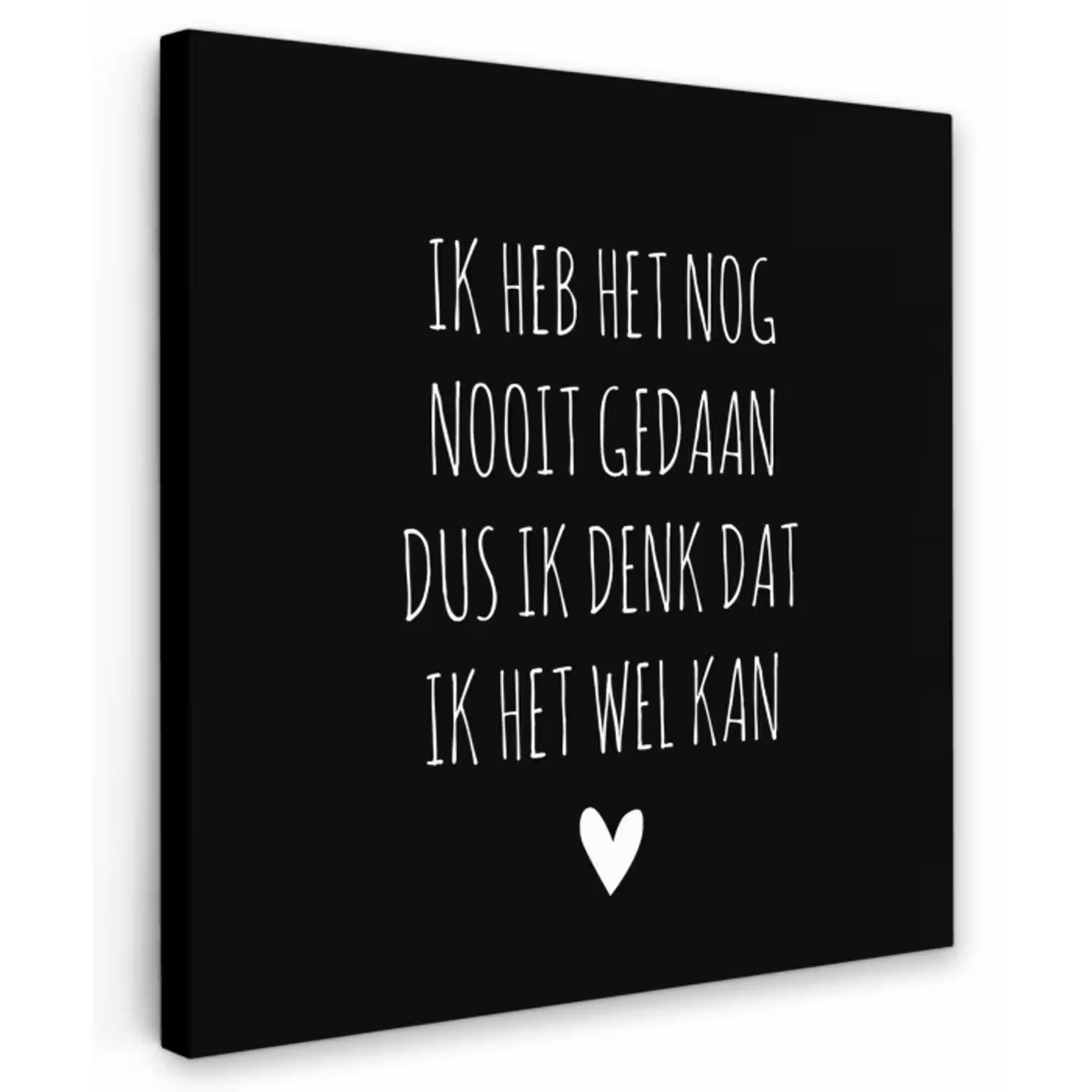 Spreuken - Ik heb het nog nooit gedaan dus - Quotes Tuinposter op houten frame 2 cm dik klein -3d