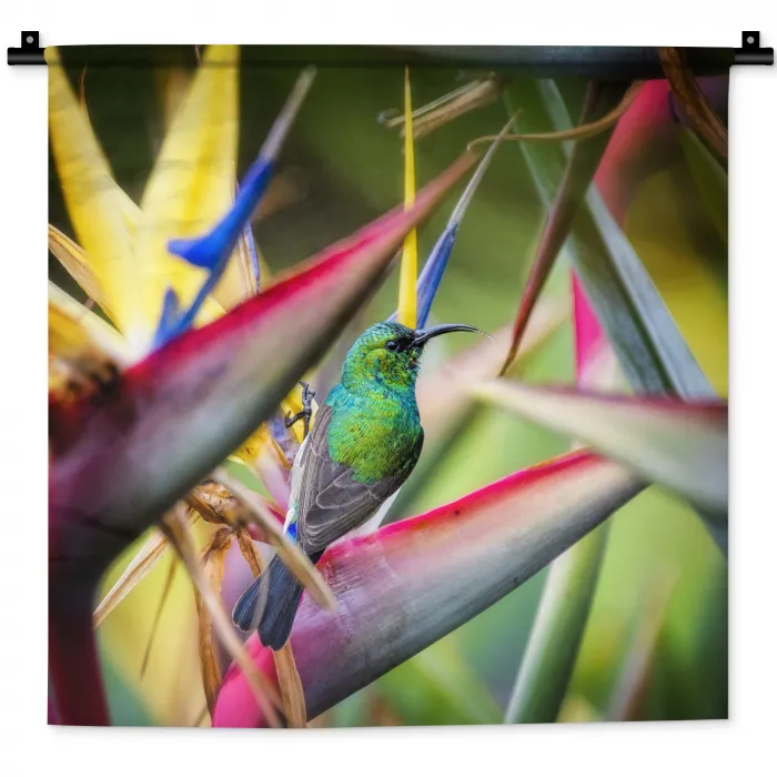 Kleurrijke vogel tussen allemaal kleurrijke platen Wandkleed katoen klein -zz3d