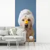 Hond - Badeend - Geel fotobehang vinyl groot -woonkamer