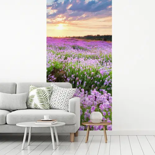 Lavendel - Bloemen - Zonsondergang - Paars - Weide fotobehang vinyl groot -woonkamer
