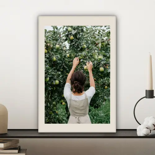 Boom - Appels - Plukken - Natuur canvas 2cm klein -sfeer6