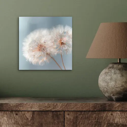 Paardenbloemen - Pluisjes - Wit aluminium wit klein -sfeer2