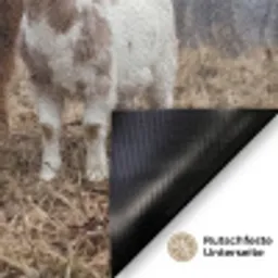 Boerderijdieren - Groep - Mist - Natuur - Rustiek Deurmat klein -antislip_DE