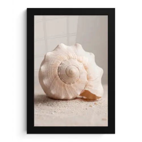 Schelp - Detail - Beige fotolijst zwart zonder passe partout klein -3d