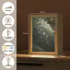 Blad - Groen - Nerven - Regendruppels Light Box met kabel (Tafellamp) klein -USP_NL