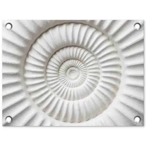 Schelp - Spiraal - Wit tuinposter los doek klein -3d