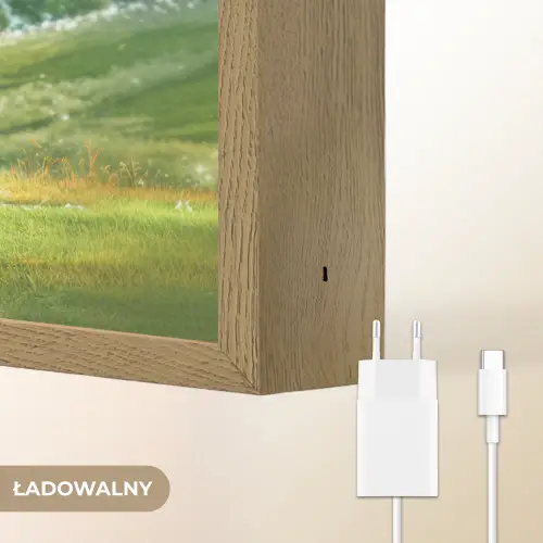 Dinosaurus - Oranje - Cartoon - Voetbal Light Box met batterij (Wandlamp kind) middel -USP_websiteoplaadbaarNL