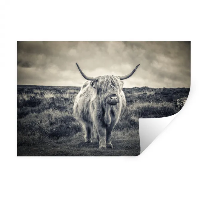 Schotse hooglander - Dieren - Wolken - Koe - Natuur Muursticker klein -3d