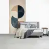 Cirkels - Abstract - Kleurrijk fotobehang vinyl groot -slaapkamer