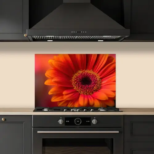 Oranje - Gerbera - Intens keuken achterwand spatscherm klein -sfeer1