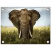Olifant in de savanne tuinposter los doek klein -3d