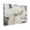 Deken - Wit - Boomstronk - Winter - Sneeuw Tuinposter op houten frame 2 cm dik klein -3d