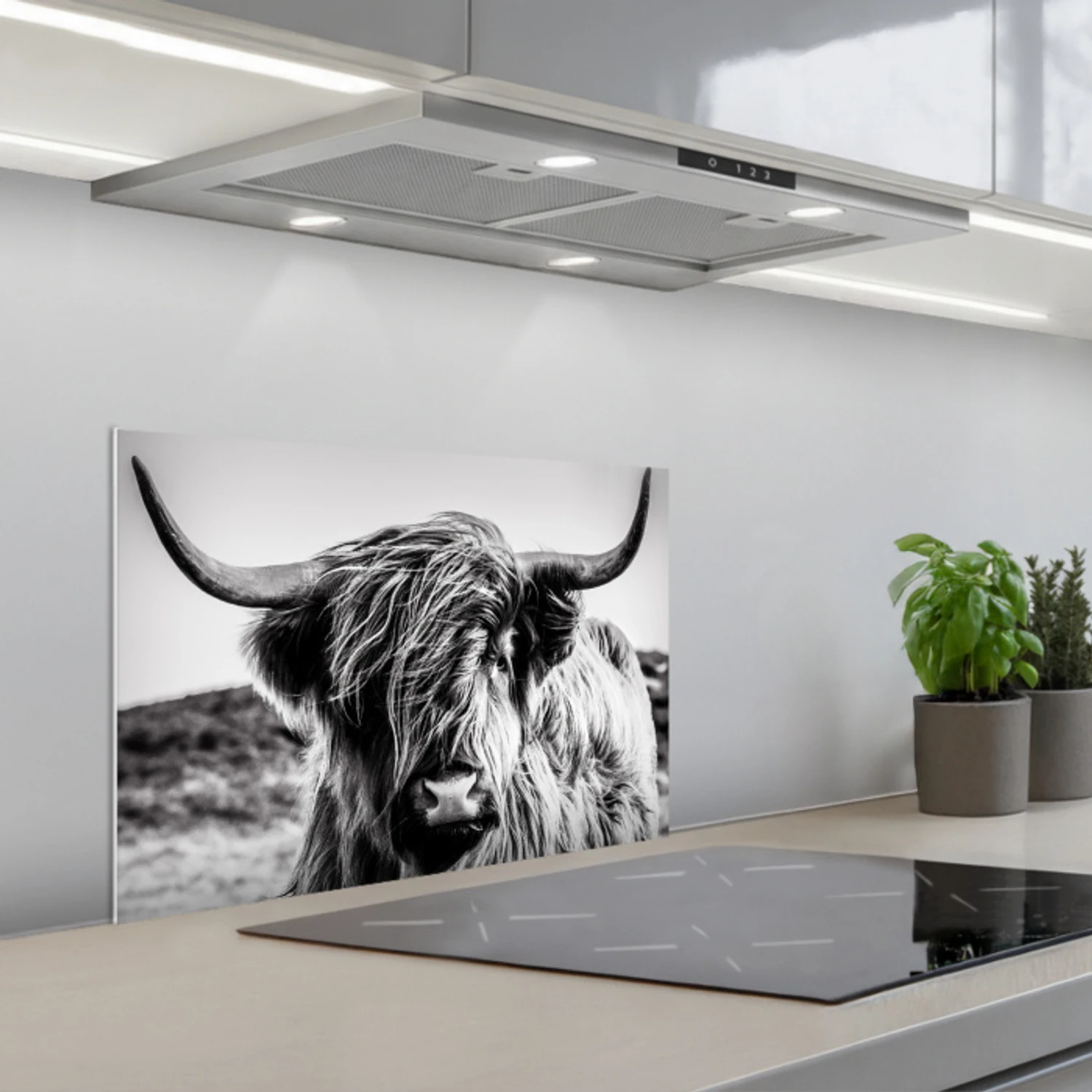 Koe - Schotse hooglander - Zwart - Wit - Dier - Natuur - Wild keuken achterwand spatscherm klein -3d_schuin