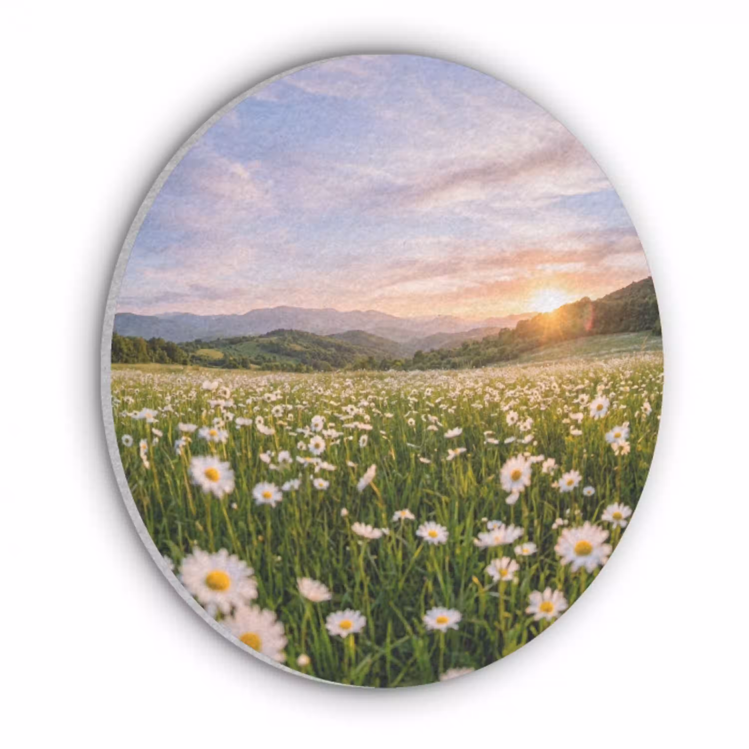 Madelief - Veld - Heuvels - Groen Akoestische PET Vilt - Rond klein -3d