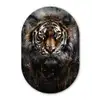 Tijger - Dieren - Portret - Luxe - Zwart Wandcirkel Ovaal Forex klein -3d