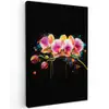 Orchidee - Graffiti - Kleurrijk - Bloemen - Abstract Tuinposter op houten frame 2 cm dik klein -3d