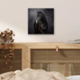 Portret - Paard - Zwart aluminium wit klein -sfeer3