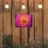 Roze - Dahlia - Kleurrijk tuinposter los doek klein -sfeer1
