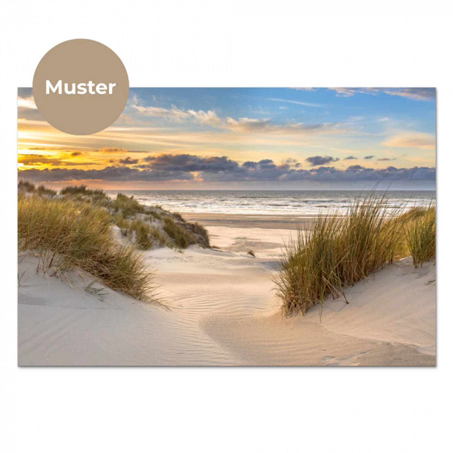 Strand - Duin - Gras - Zonsondergang - Zee keuken achterwand sample klein -3d_DE