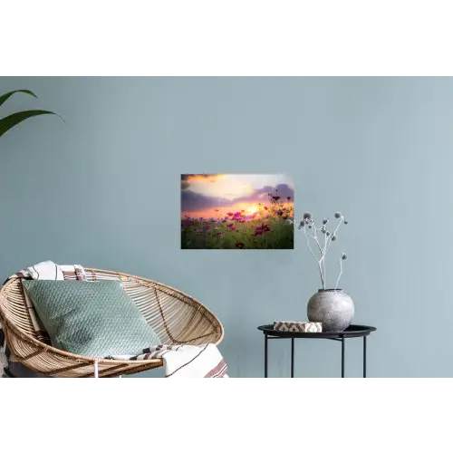 Bloemen - Roze - Zonsondergang - Natuur - Weide - Horizon Muursticker klein -plant