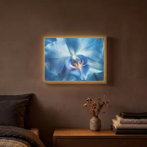 Blauw - Orchidee - Elegeant Light Box met batterij (Wandlamp) middel -sfeer4