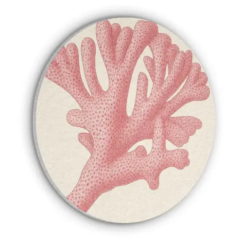 Koraal - Stipjes - Roze Akoestische PET Vilt - Rond klein -3d