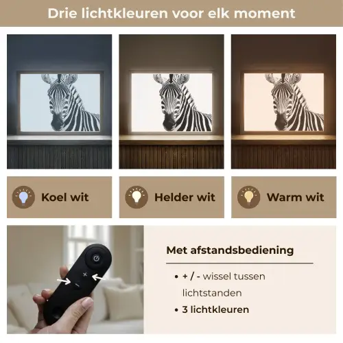 Zebra - Close-up - Zwart - Strepen Light Box met batterij (Wandlamp) middel -USP_lichtkleurNL